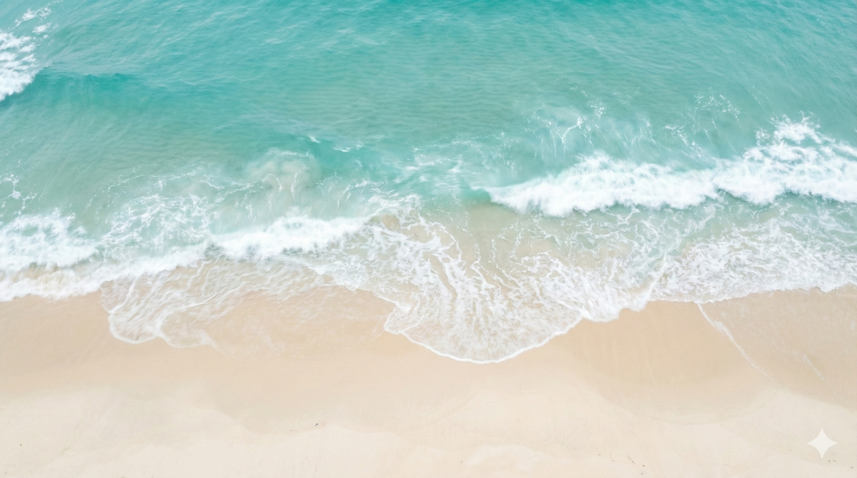 Aerial view of Long Island beach